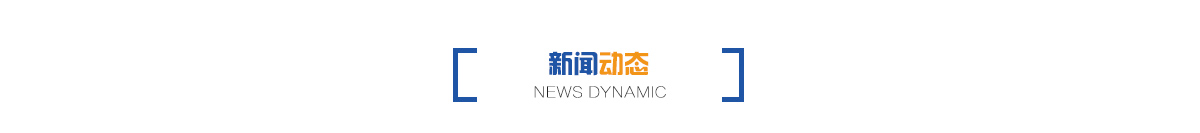 新闻动态