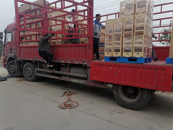 微信图片_20201030103749.jpg