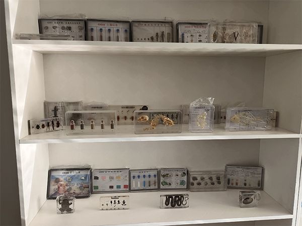 微信图片_202101081015055.jpg