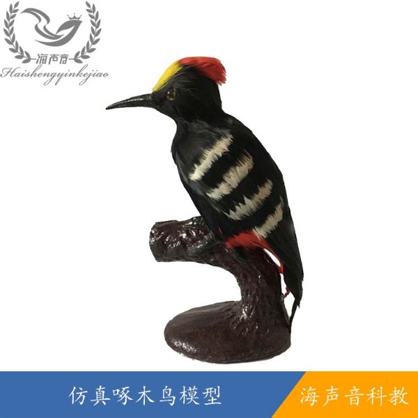 仿 真啄木鸟模型.jpg