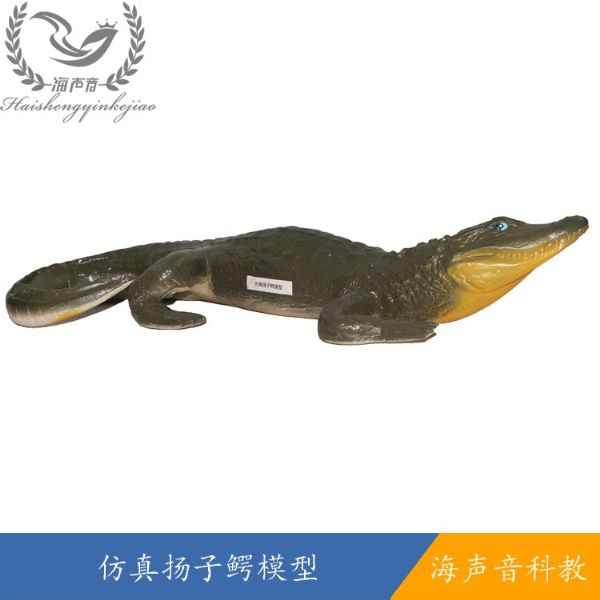 仿 真扬子鳄模型.jpg