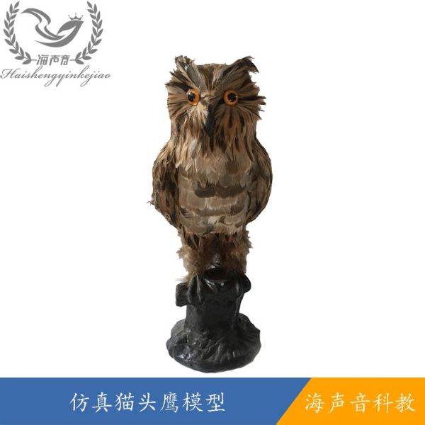 仿 真猫头鹰模型.jpg
