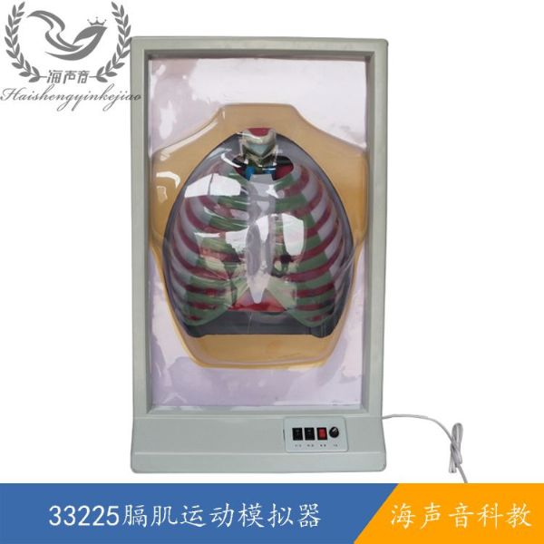 33225膈肌运动模拟器.jpg