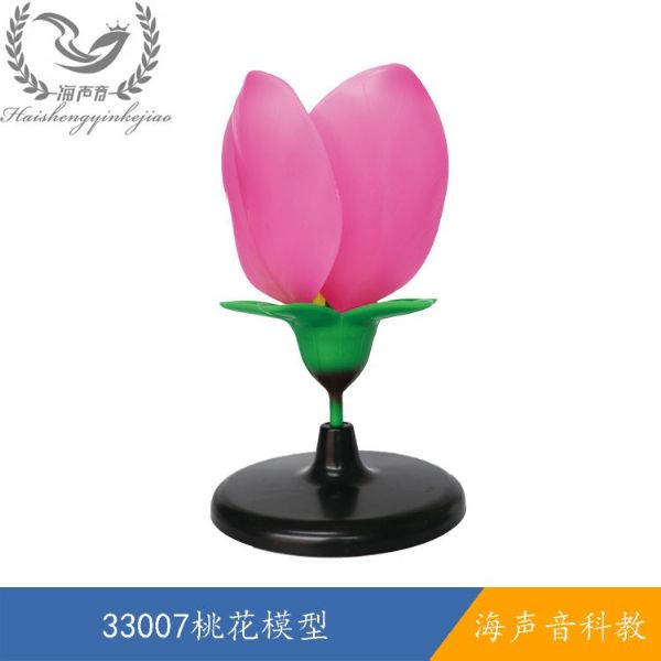 33007桃花模型.jpg