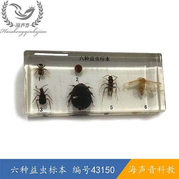 43150六种益虫标本.JPG