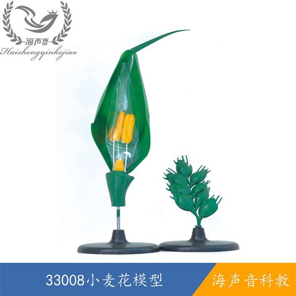 33008小麦花模型.jpg